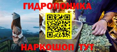 стафф Кимры
