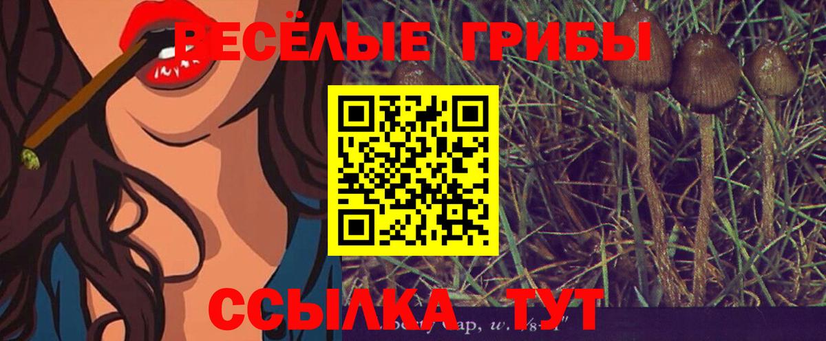 Конаково  Псилоцибиновые грибы ЛСД  Вход с VPN 