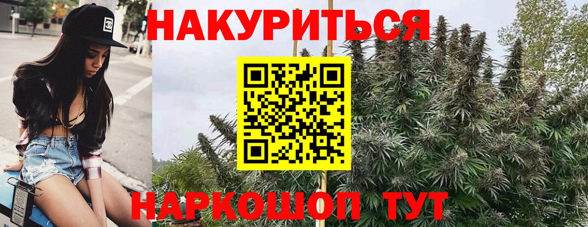 Каннабис планчик Конаково
